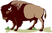 buffalo travels
