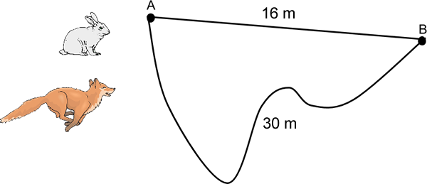 position-distance-and-displacement
