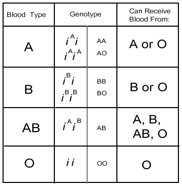 Blood Group Chart