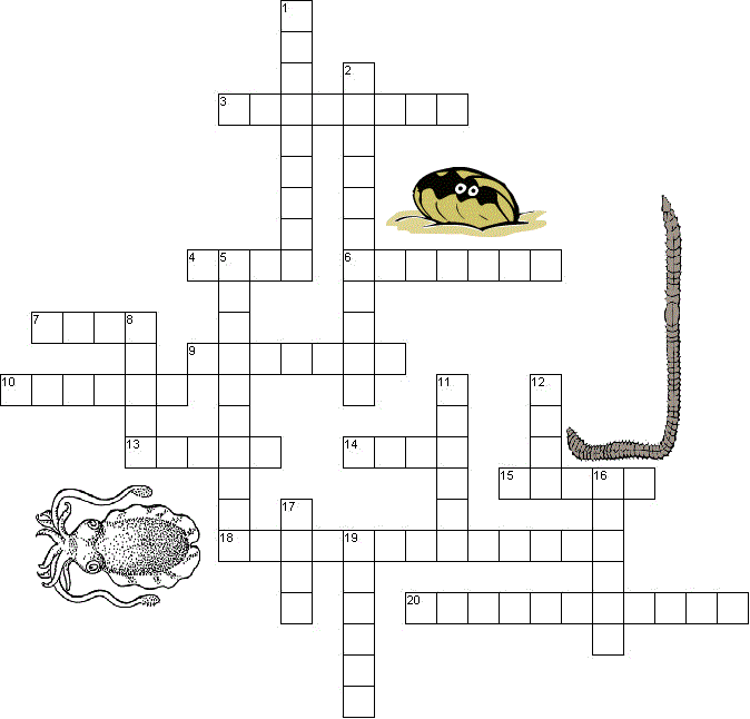 Mollusks and Annelids Crossword