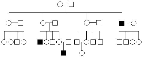 Eye Color Pedigree