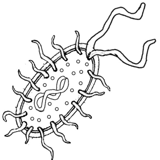 e coli coloring pages - photo #4