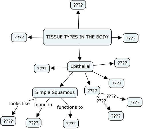 tissue concept map answer key        <h3 class=