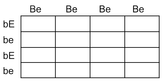 Crosses That Involve 2 Traits advanced 