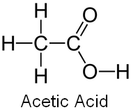 AP Bio Notes - Organic Molecules