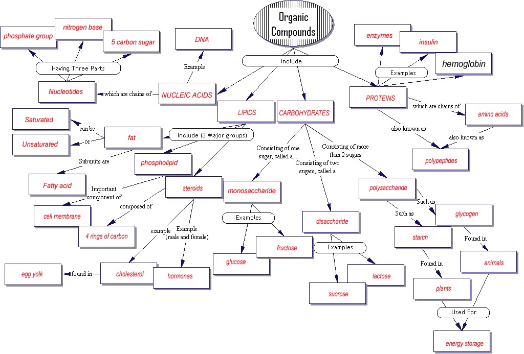 Concept Map Organic Compounds