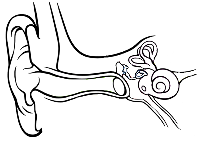 ear coloring page