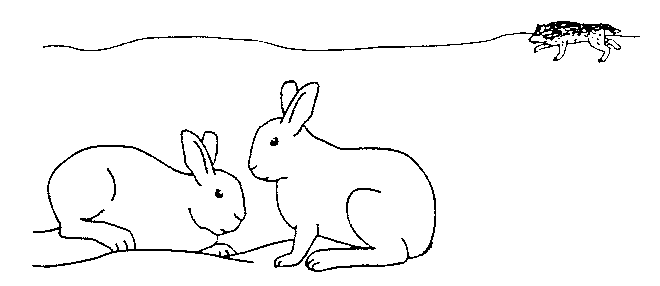 two rabbits