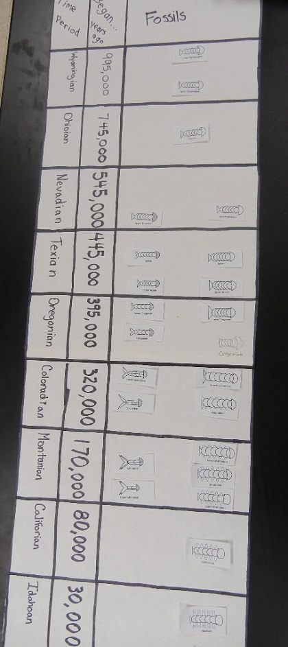 Fossil Record Teacher s Guide