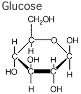 AP Bio Notes - Organic Molecules