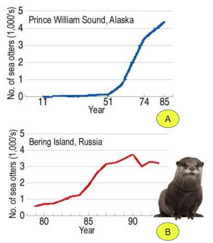 sea otter population graph