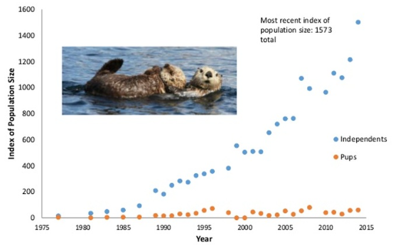 sea otter graph