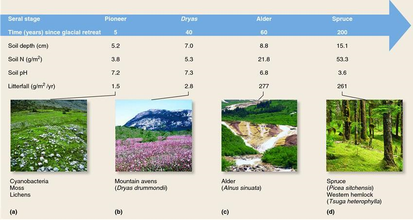 succession data