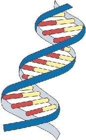 DNA