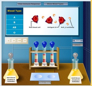 blood types