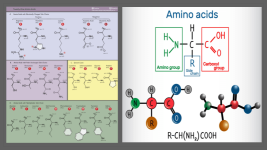 amino acids