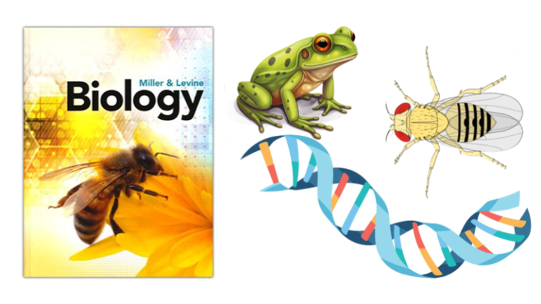 The Biology Corner – Resources For Teachers