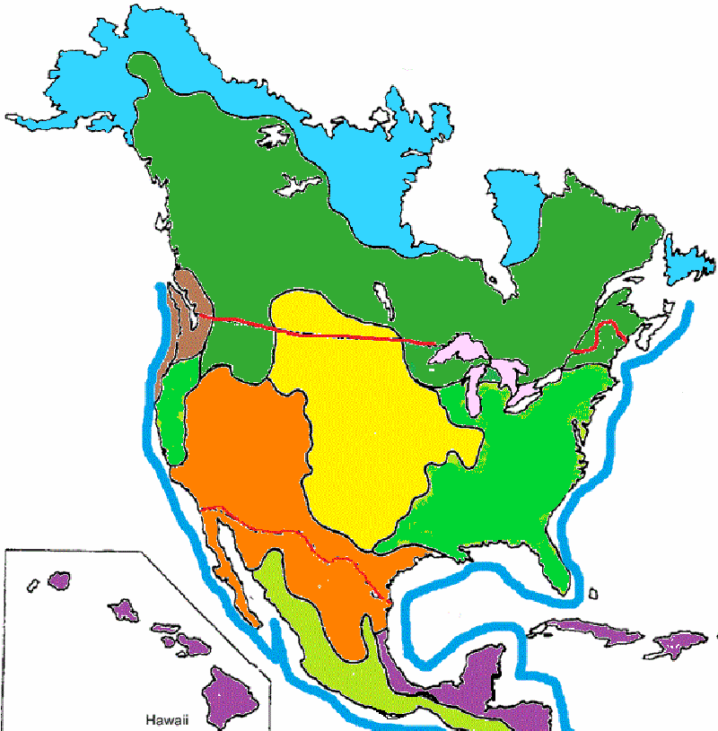 North America Biomes Map Color the Biomes of North America