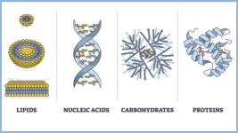 biomolecules