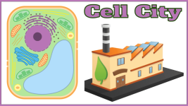 cell city