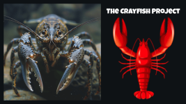 crayfish project
