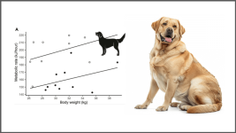 dog obesity graph