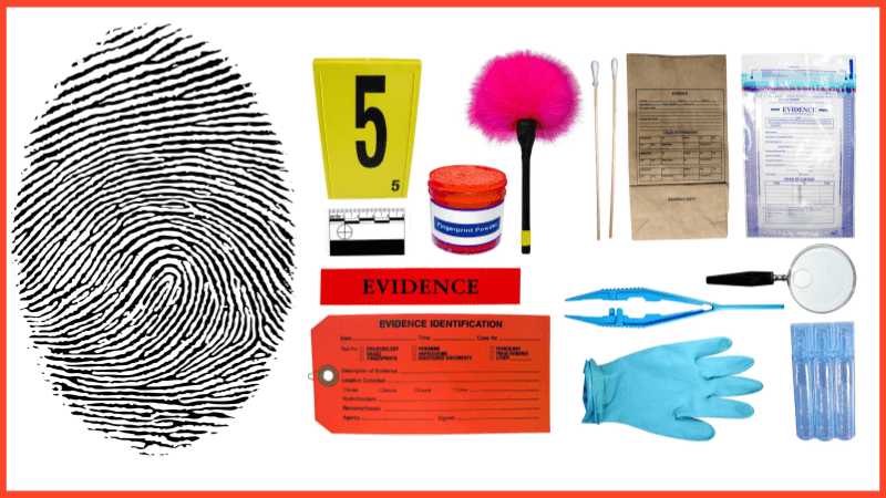 Science of Fingerprints: A Hands-On Activity