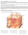 What Causes Goosebumps? – Anatomy of Skin