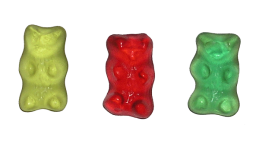 Dissect a Gummy Bear to Learn Anatomy Terms