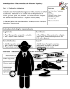 murder mystery worksheet