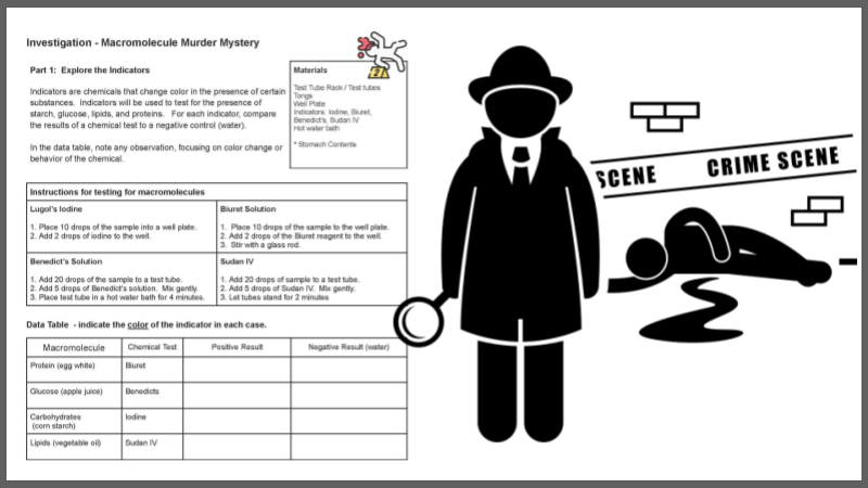 Murder Mystery Macromolecule Lab