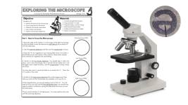 microscope worksheet