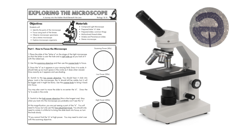 Exploring the Microscope – Canva Version