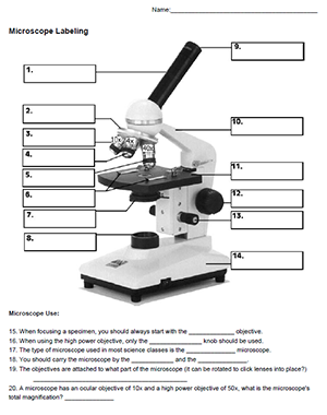 A Short Lesson on the Microscope - Parts and Function