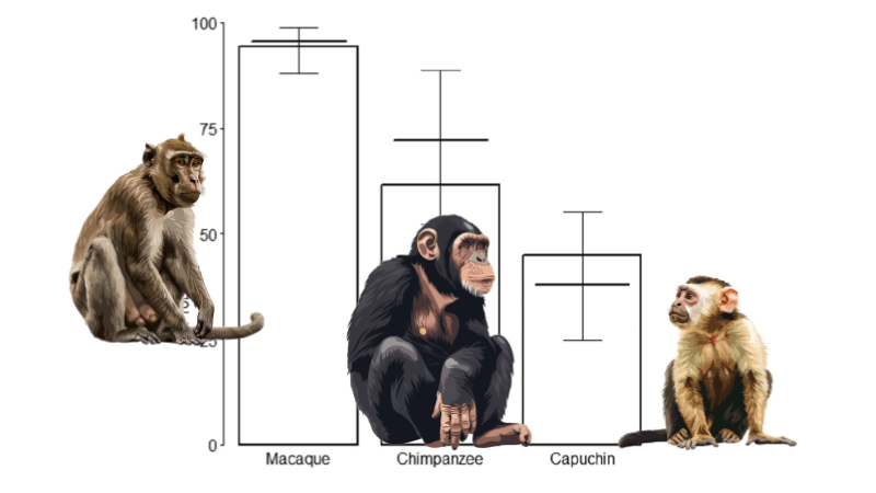 Data Analysis – Tool Use in Primates (CER)