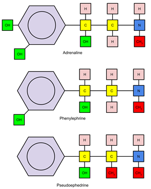 chemical structures of adrenaline, phenylephrine, and pseudoephedrine