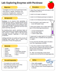 lab worksheet