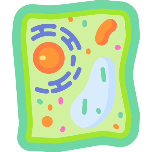 3d animal cell diagram without labels