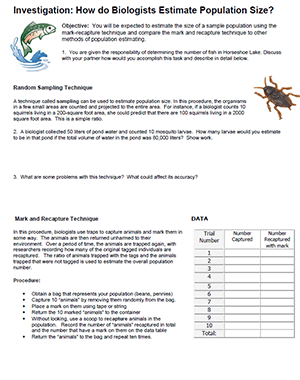 Investigation: Estimating Population Size