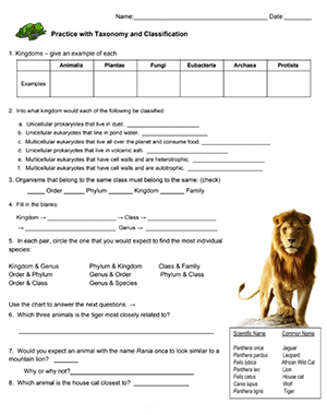 Taxonomy Worksheet Sixth Grade