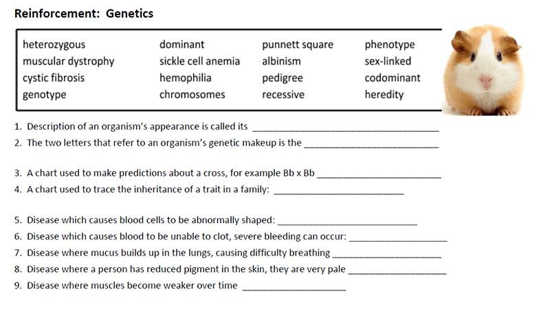 Spongebob Genetics Answer Key Printables Of Genetic Practice Problems Worksheet Answers 