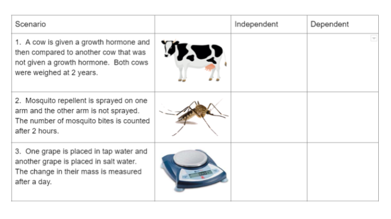 independent-dependent-variables-practice